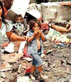 Un tercio de la comida va a la basura