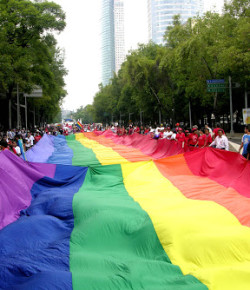 OMS asegura: Homosexuales tienen 20 veces más probabilidades de contraer el VIH