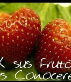 Por el fruto se conoce al árbol