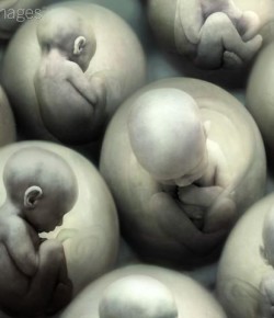 Moloc: el aborto de un niño es el comienzo del suicidio de una madre