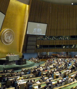 Opinando de la ONU: ¿sirve o no sirve?