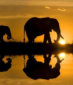 África vende sus tierras a transnacionales y fondos de inversión