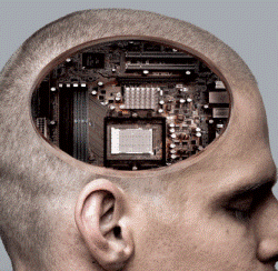 LOS ENIGMAS DEL CEREBRO
