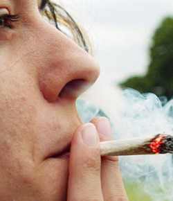 La Marihuana: gran motivadora del cáncer del pulmón