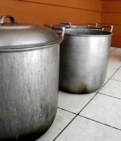 Cerca de 1.000 millones de personas pasan hambre en el mundo, afirmó Putín