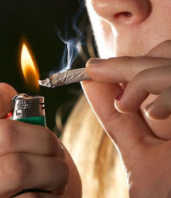 La marihuana contra el cerebro de los adolescentes