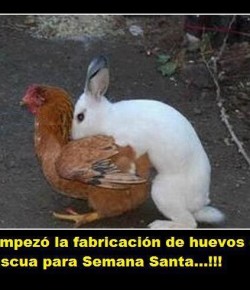 Las Pascuas Floridas y la Leyenda del Conejo con «Semen Chocolatado»