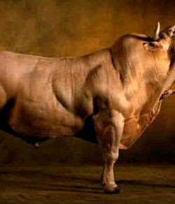 Las Super Vacas: ejemplos de Ciencia anti-Dios
