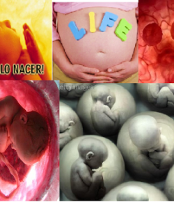 La Historia de Gianna Jessen: Una Sobreviviente al Peor de los Genocidios… el Aborto