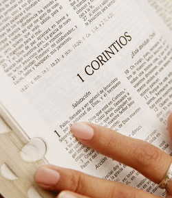 Muchos cristianos de hoy no consideran la Biblia cómo un libro de importancia para sus vidas…