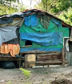 Australia: Una familia con cuatro generaciones de endogamia