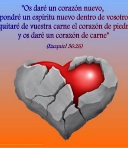 Y la Biblia tenía razón: ¡el Corazón tiene Mente!
