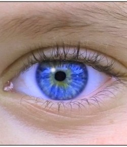 La Computadora de los Ojos