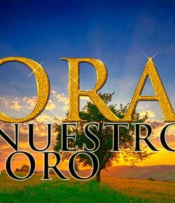 LA TORAH: EL TESORO DEL ETERNO PARA NOSOTROS.