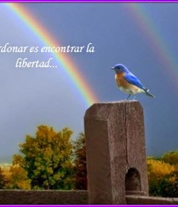 Si la Culpa te confronta, busca el Poder del Perdón