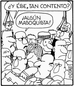 Paradigmas Sobre la Alegría