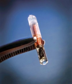 El Microchip en Humanos… ¡Cientos de personas ya lo tienen en sus cuerpos!