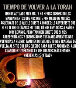 La Torah: una Instrucción con Claves para el Gran Cambio de tu Vida.