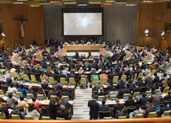 La ONU se colocó a favor del Diseño Original de la Familia