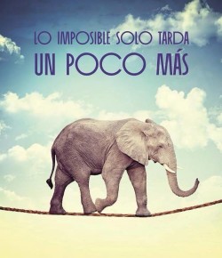 «Dar lo imposible es lo que más ama Él»… ¡Pidamos cosas imposibles!