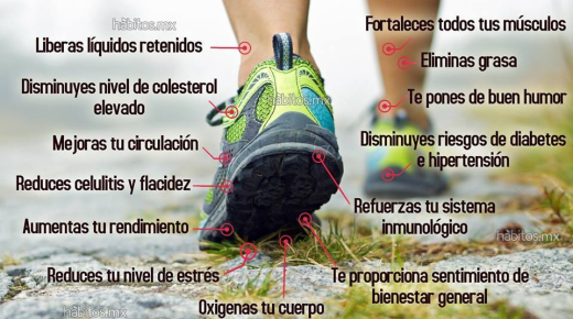 ¿Por qué es Bueno Caminar 30 minutos al Día?