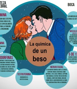 ¿Qué sucede en el cerebro cuando besamos?