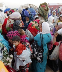Las Causas Actuales de la Migración