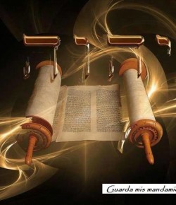 Origen y Significado de la Expresión Torah (Instrucción)
