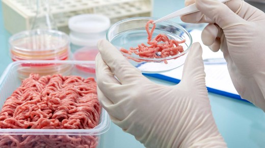 En el 2020 podrás comer Hamburguesa cultivada en el laboratorio