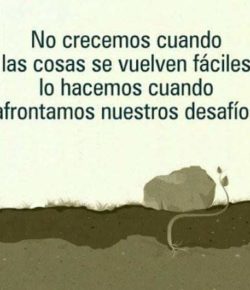 Resiliencia: La Actitud Mesiánica Correcta