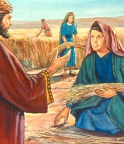 El Libro de Rut Renueva la Virtud de la Esperanza