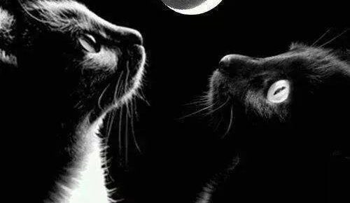 La Luna Negra y los miedos conspiratorios… ¿se viene de nuevo el fin del mundo?