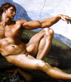 ¿Hombre en Señorío o Humano Bestializado?