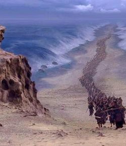 ¿Por qué Clamas a Mí?… ¡Deja la Oración  y comienza la Acción!