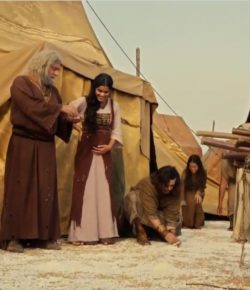 El Maná: el Pan Divino que acarrea Shabat (Reposo)