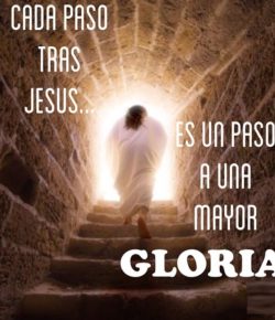 Cuarenta y Nueve Pasos para Alcanzar La Gloria… (Sefirat haOmer)