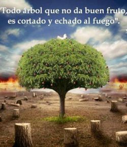 ¿Para Qué Existe un Hijo de Dios?