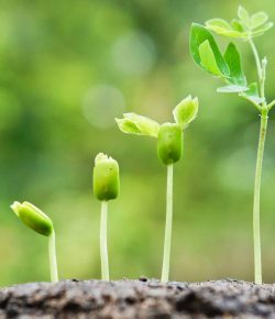 Las Cuatro Claves Para el Cambio y el Crecimiento Personal