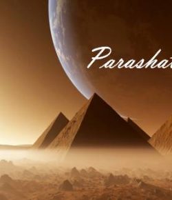 ¡Ven de Tu Esclavitud a Mi Palacio! (Parashá Bo)