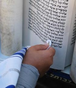 Estudiar Torah es el Acto más Importante de un Escogido