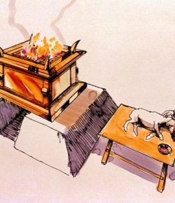 Energía para la Vida y Pesadez para la Muerte