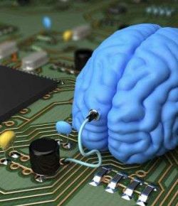 ¡El Cerebro Humano No Es Una Computadora!