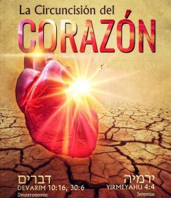 La Circuncisión del Corazón: Cirugía Sobrenatural que hace el Dr. Eterno