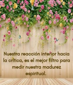¿Qué es lo que Pasa por Nuestra Mente cuando Alguien nos Corrige?