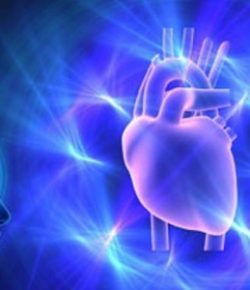 La Inteligencia Intuitiva del Corazón Humano explicado por la Ciencia