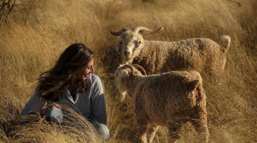 Mujeres Expertas en Hilar Pelos de Cabra