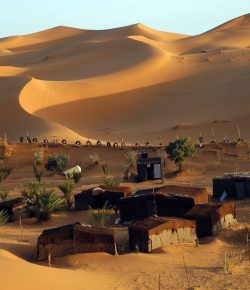 La 42 Estaciones del Alma según la Torah