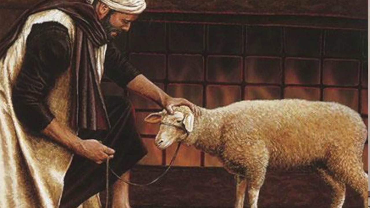 ¿Dios Protege al Pecador?… ¿Qué significa Jatat? – David Nesher Blog