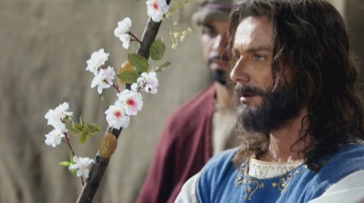 La Vara de Aarón Florece: ¡El Proceso vale tanto como el Resultado!
