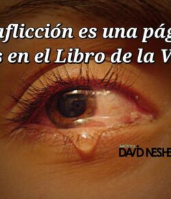 La Fisiología del Dolor en los Hijos de Dios